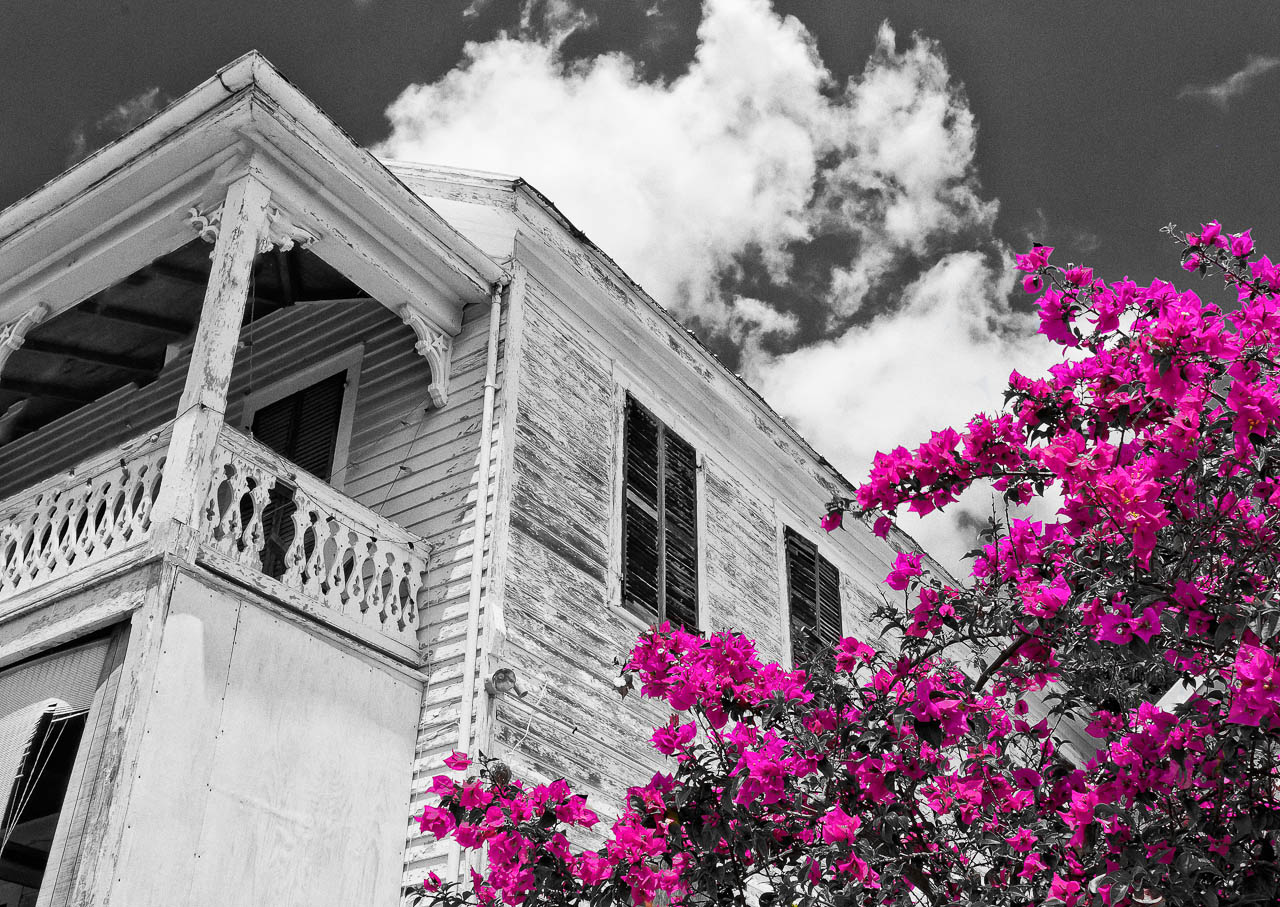 House of bougainvillea in Key West